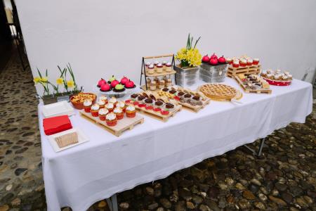 otvoritev grad Podsreda, 26.3.2025_Izidor Kotnik (116)